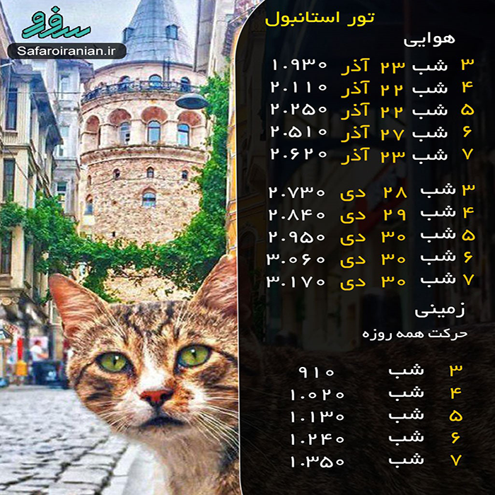 تور استانبول/ زمستان98 تور استانبول/ زمستان98